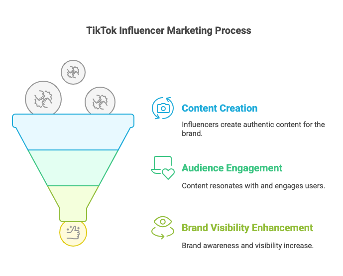 Enhance Audience Engagement with TikTok Influencer Marketing